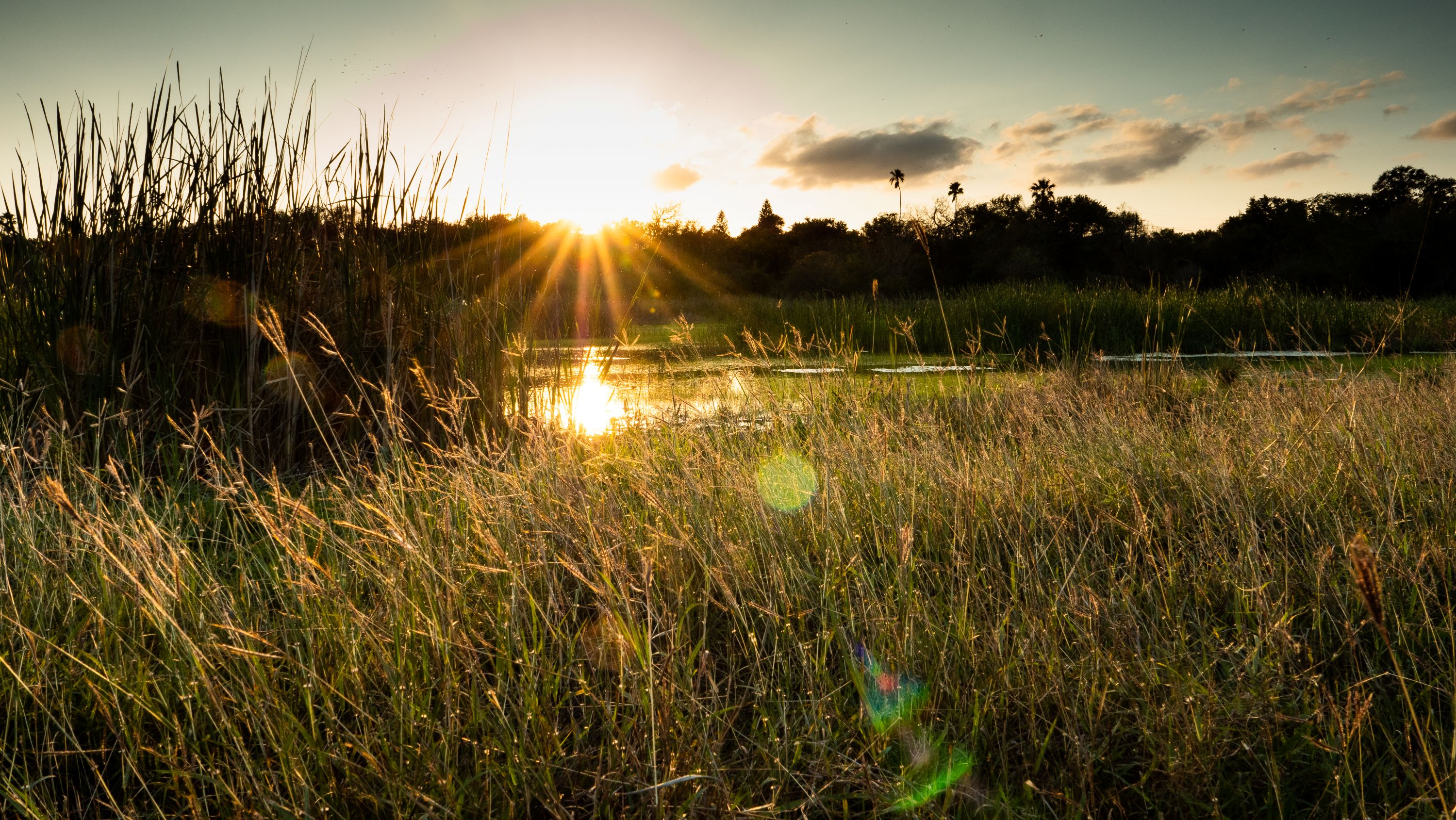 Weslaco Shutterstock 1714004854